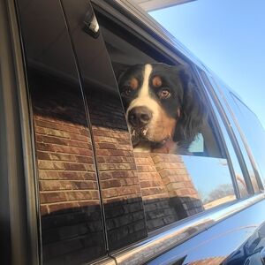 Meet your Posher, Linda